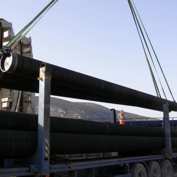 Cargo Surveys