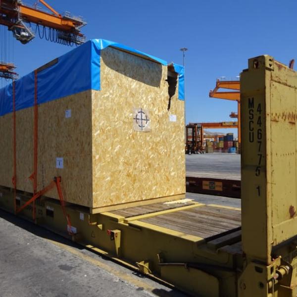 Cargo Surveys