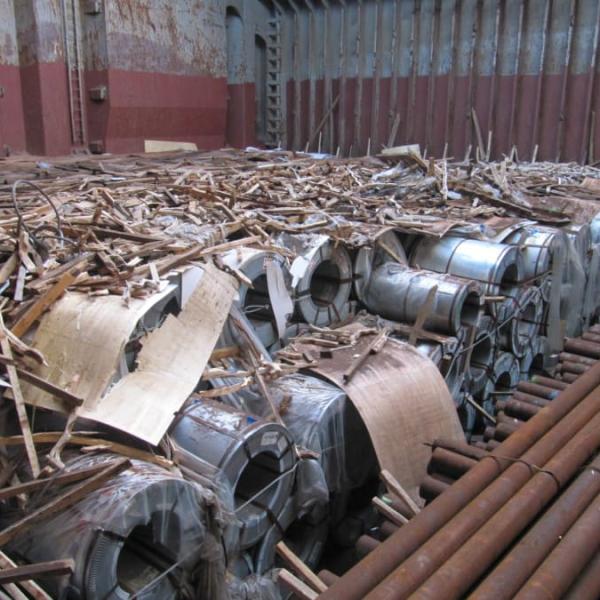 Cargo Surveys