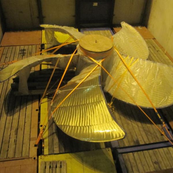 Lashing Surveys